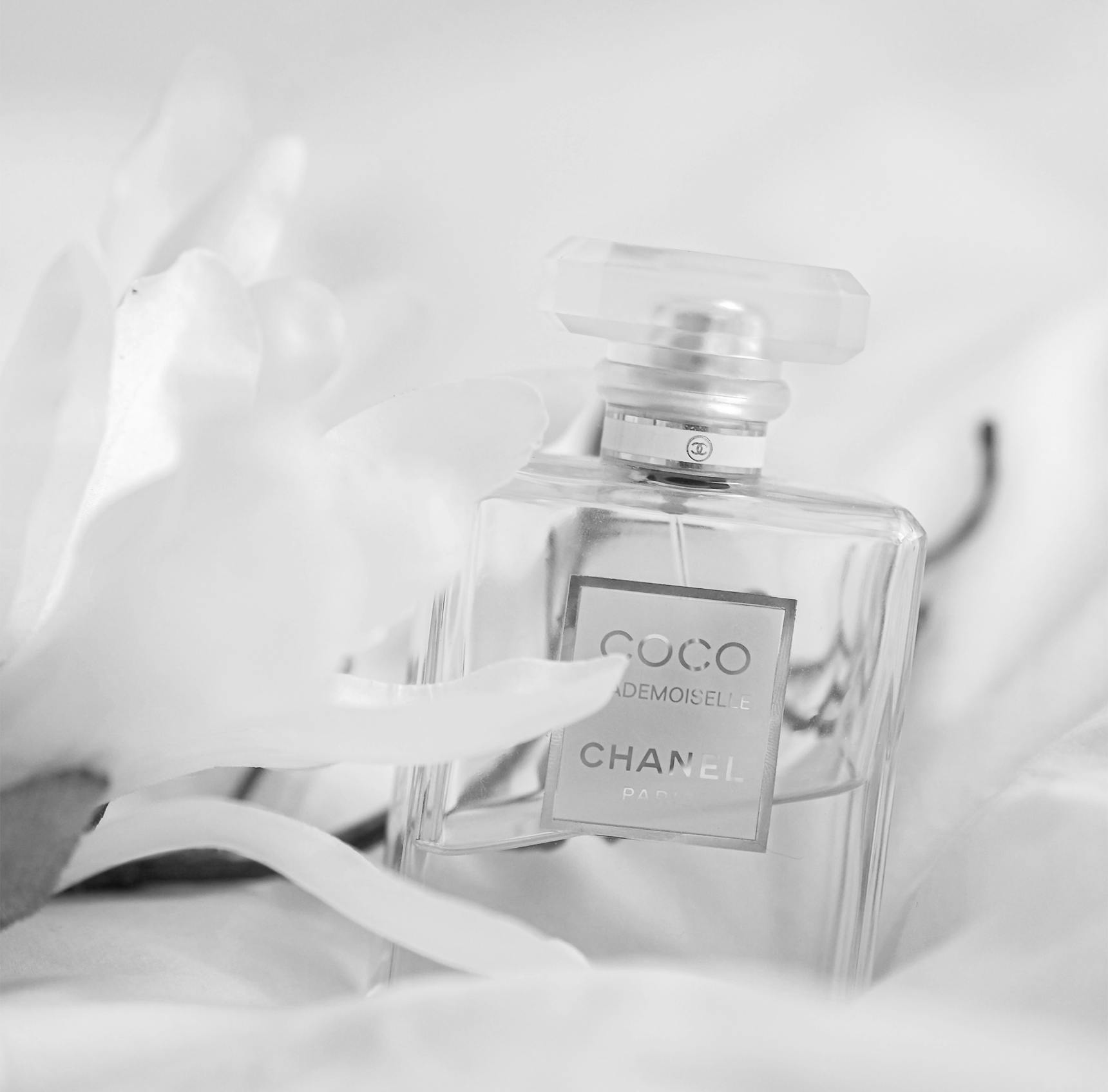 JFK Terminal 4 JFK Terminal 4