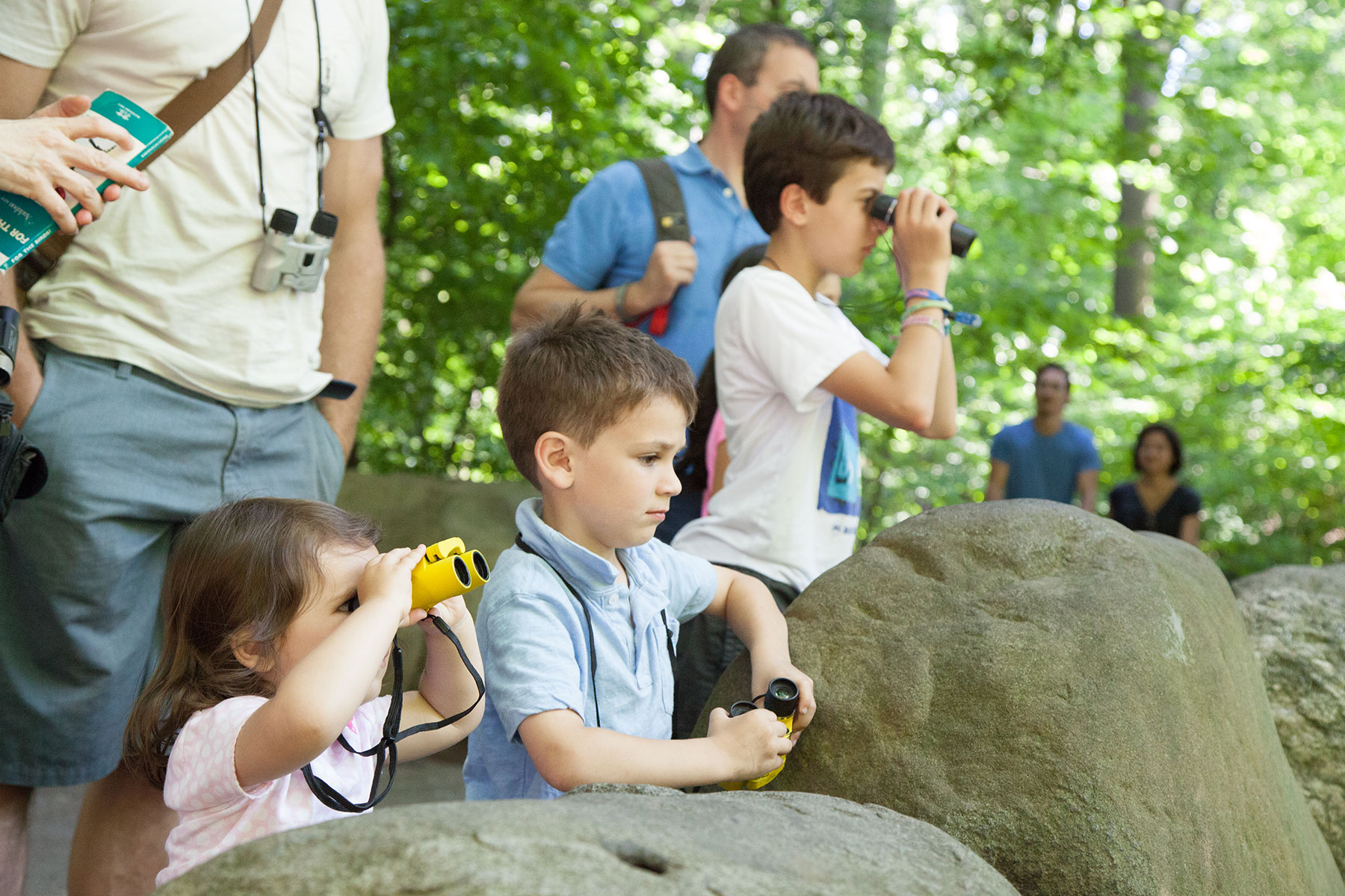 Van Cortlandt Park With Kids: Exploring the Bronx Green Space