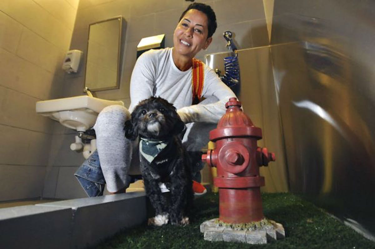 dog and fire hydrant
