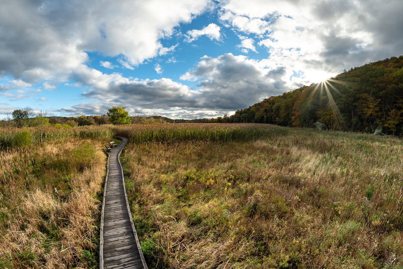 Get Out of the City and Into Nature on These Classic Autumn Day Trips ...