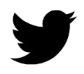 twitter icon
