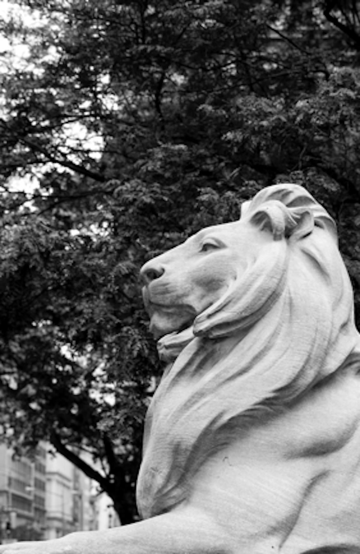 New York Public Library lion statue