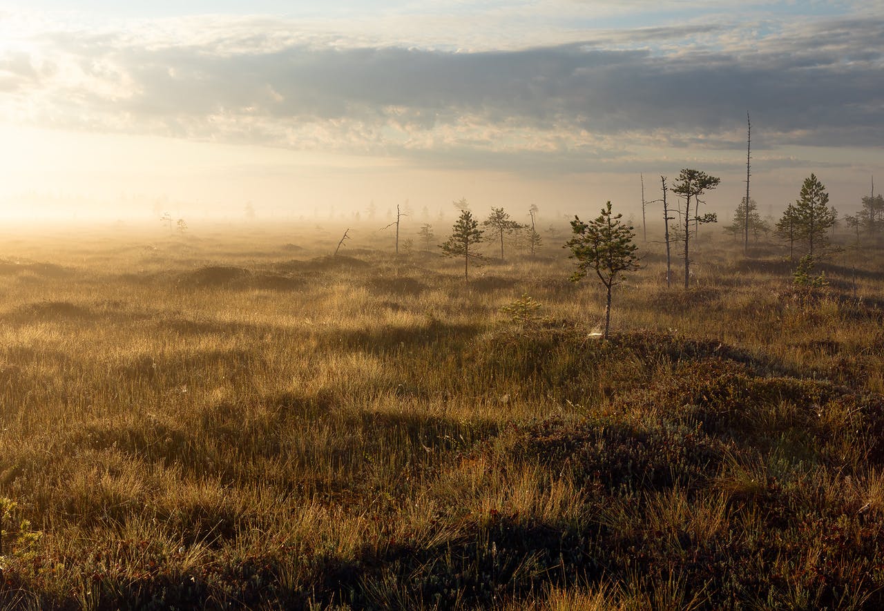 Expanding the Kivisuo Peatland Complex 2021: A Climate-Stabilization Area in the European North Receives a Crucial Boost