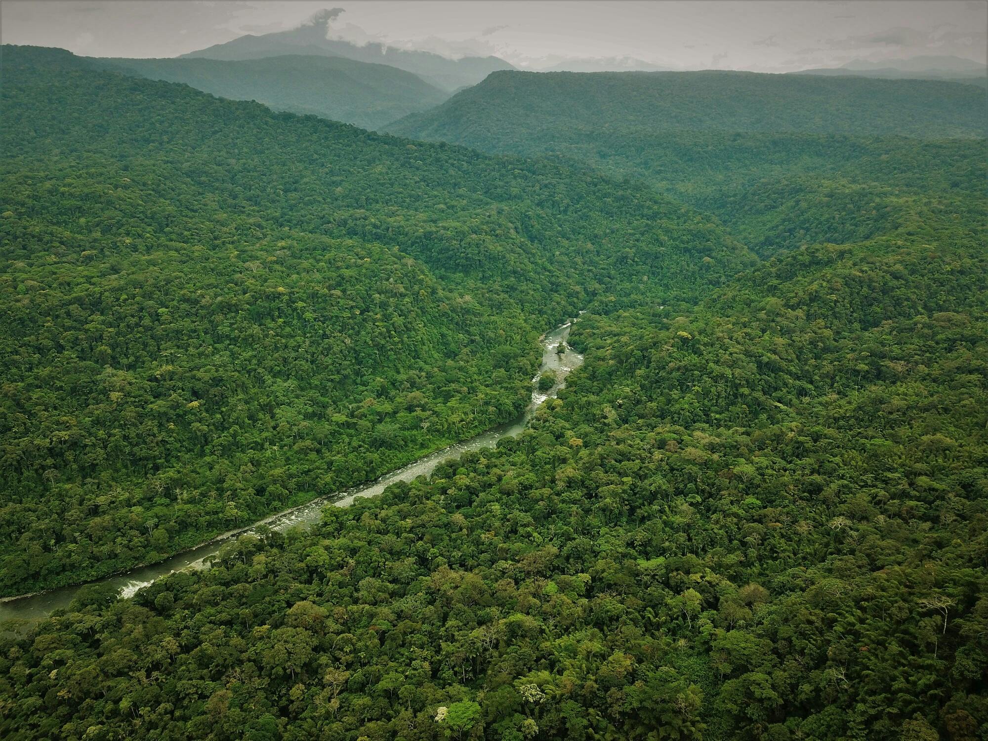 Expanding the Rio Bigal Biological Reserve