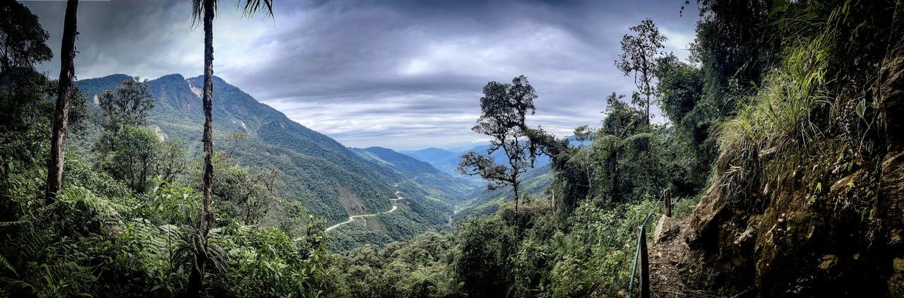 Protect threatened Andean cloud forest adjoining the Tapichalaca Reserve, Ecuador