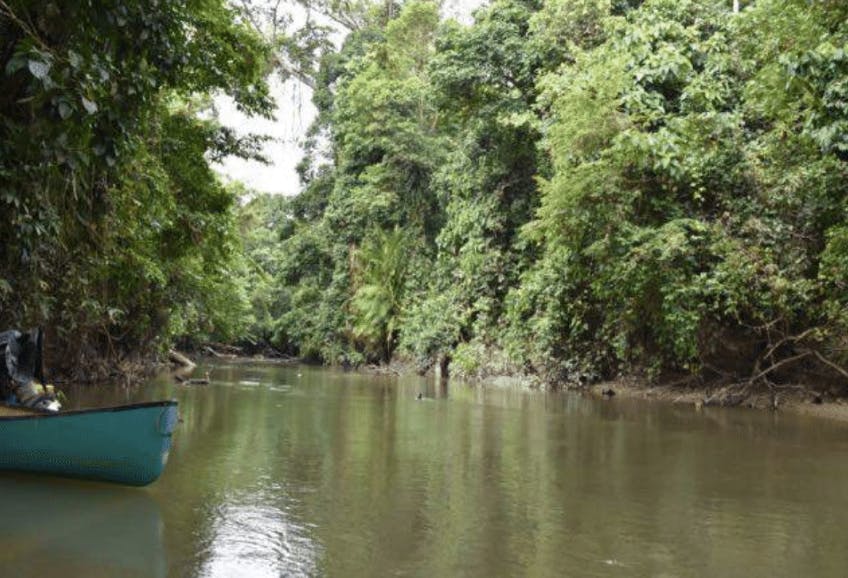 Securing lands in the Suaq River Preserve 