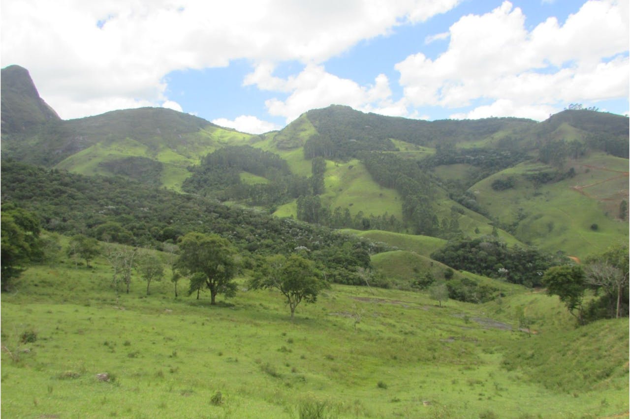 Serra da Graminha Conservation Project