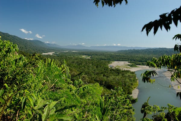 Isolated peoples may pay the price for oil and gas expansion in Amazonia