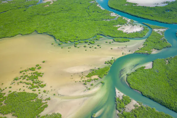 More Than 80 Organizations Urge Governments at UN Biodiversity Conference (COP17) to Keep Extractive Industries Out of Protected and Conserved Areas