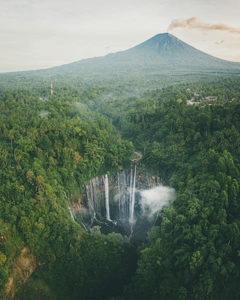 Protected Areas & KBAs