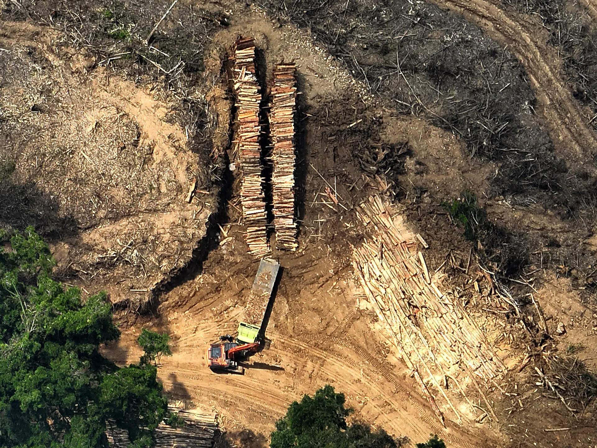 Clear Cutting in Gorontalo province, Indonesia