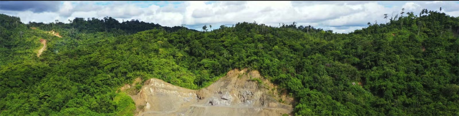 Just Released: Debt and Forest Risk Connections