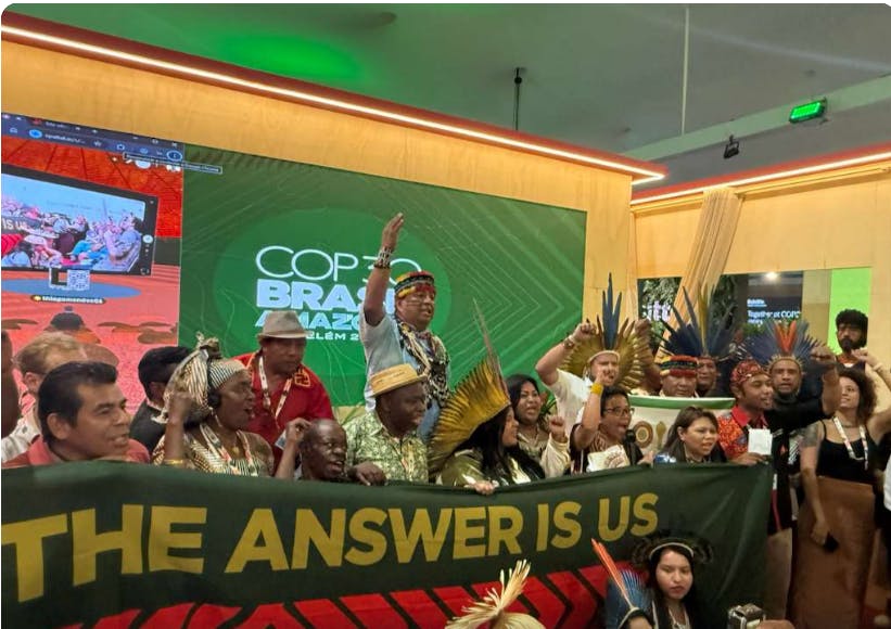 Engagement & Partnerships