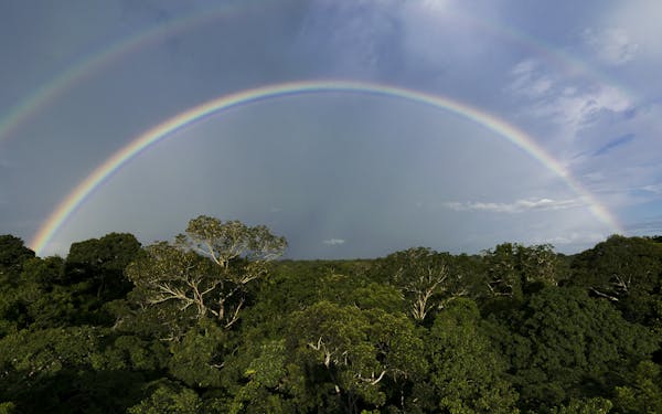 70+ Organizations at COP 30 Call on Governments Worldwide to Establish Fossil-Free Zones to Protect Forests and Indigenous Peoples and Local Communities