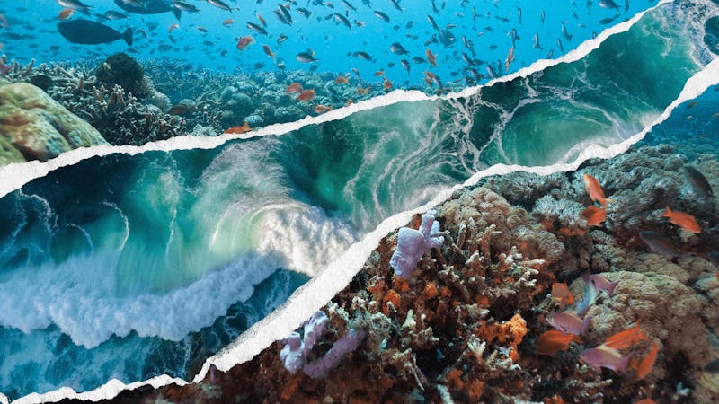 Ocean Frontiers at Risk: Fossil Fuel Expansion Threats to Biodiversity Hotspots and Climate Stability