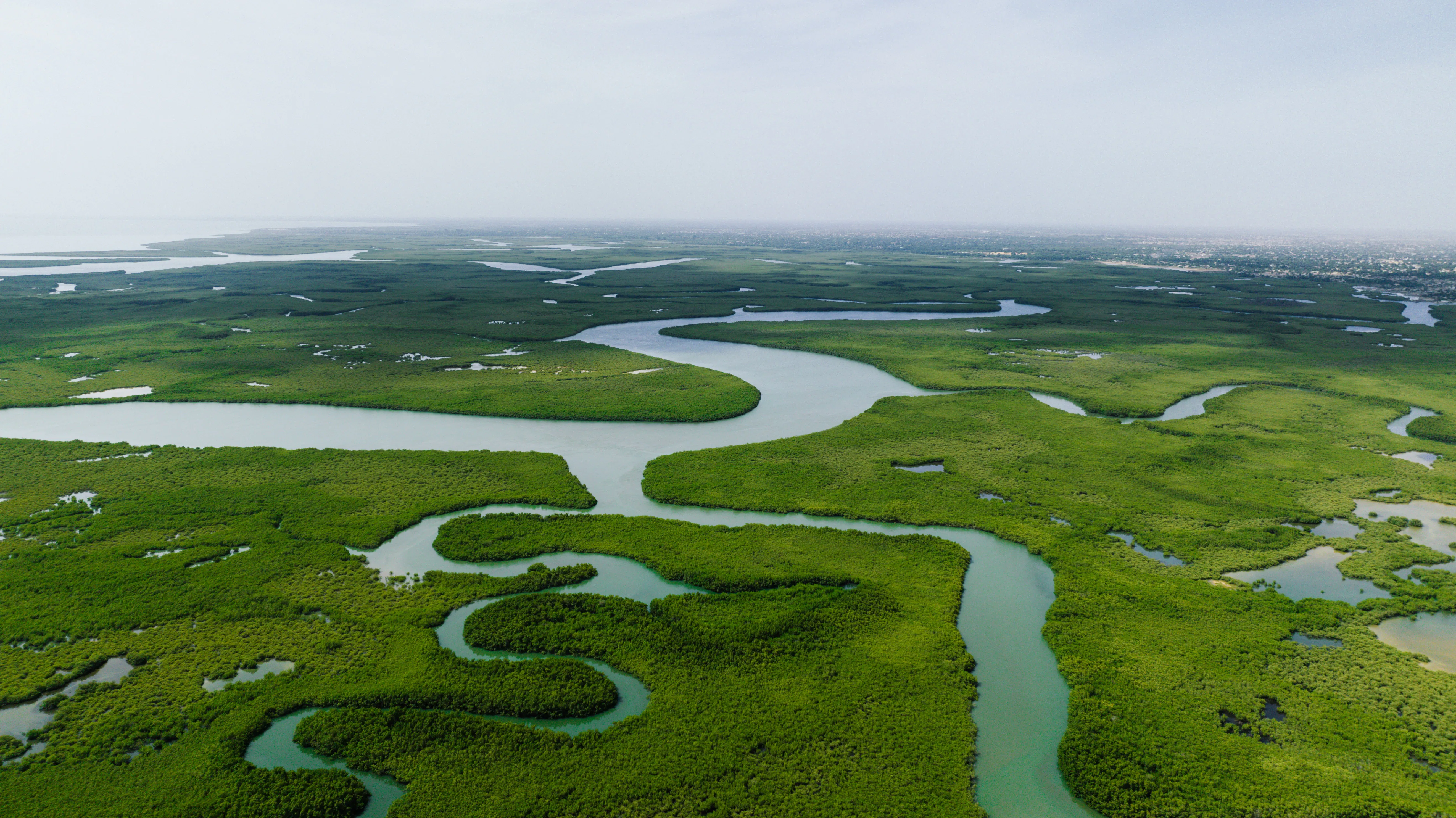 Webinar: Indigenous Solutions to Territorial Threats
