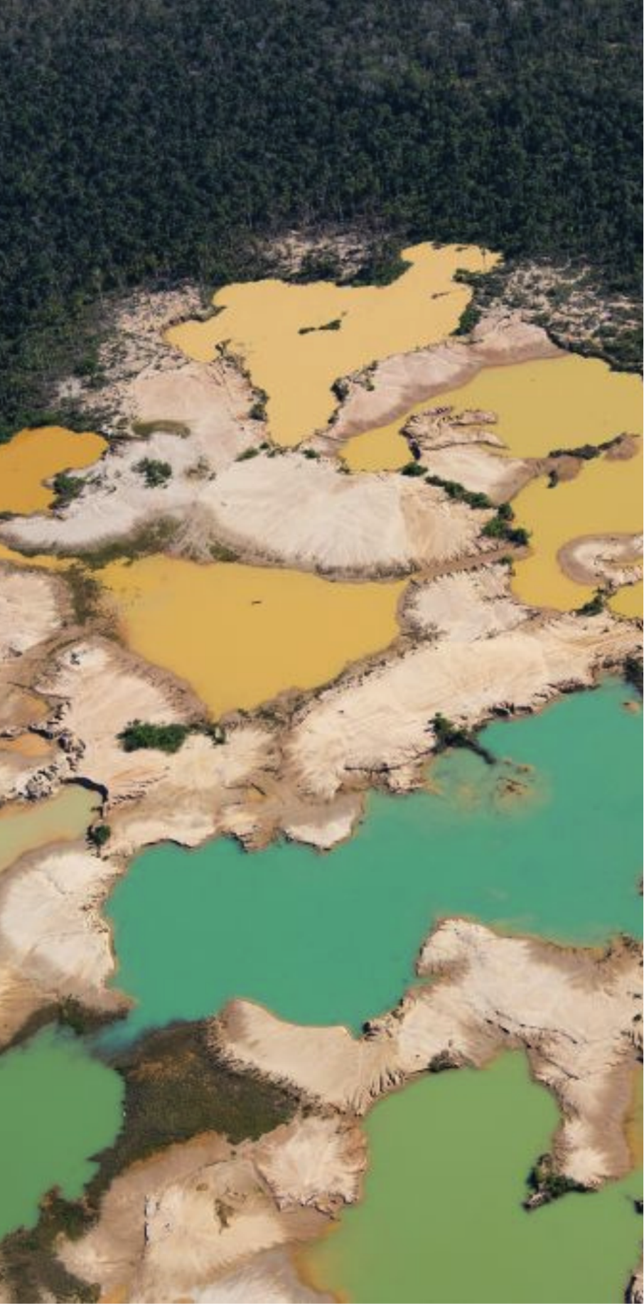 Chemically deforested Amazon Jungle