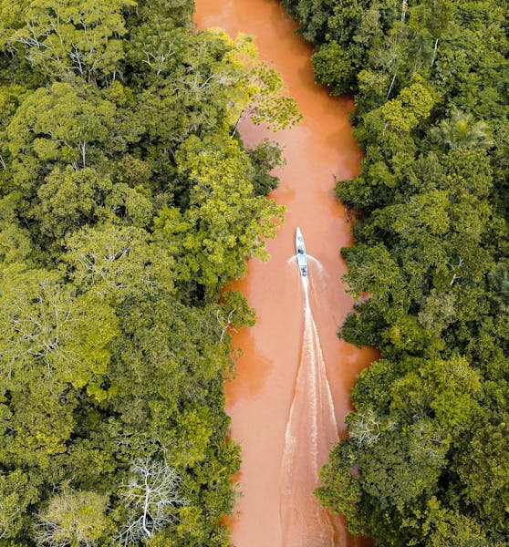 Oil and Gas Expansion in the Colombian Amazon: Navigating Risks, Economics, and Pathways to a Sustainable Future