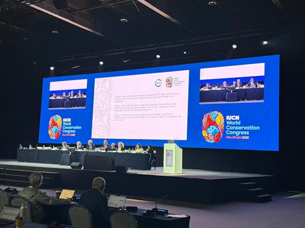 IUCN Congress Votes to Safeguard Congo Basin from Critical Tipping Point