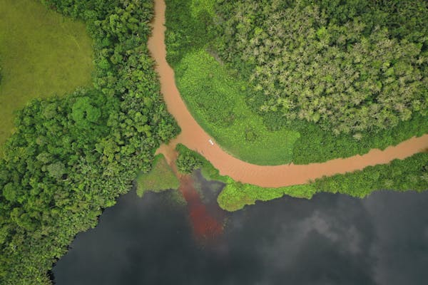 Escalating Oil Exploration Threats to Conkouati-Douli National Park in Republic of Congo