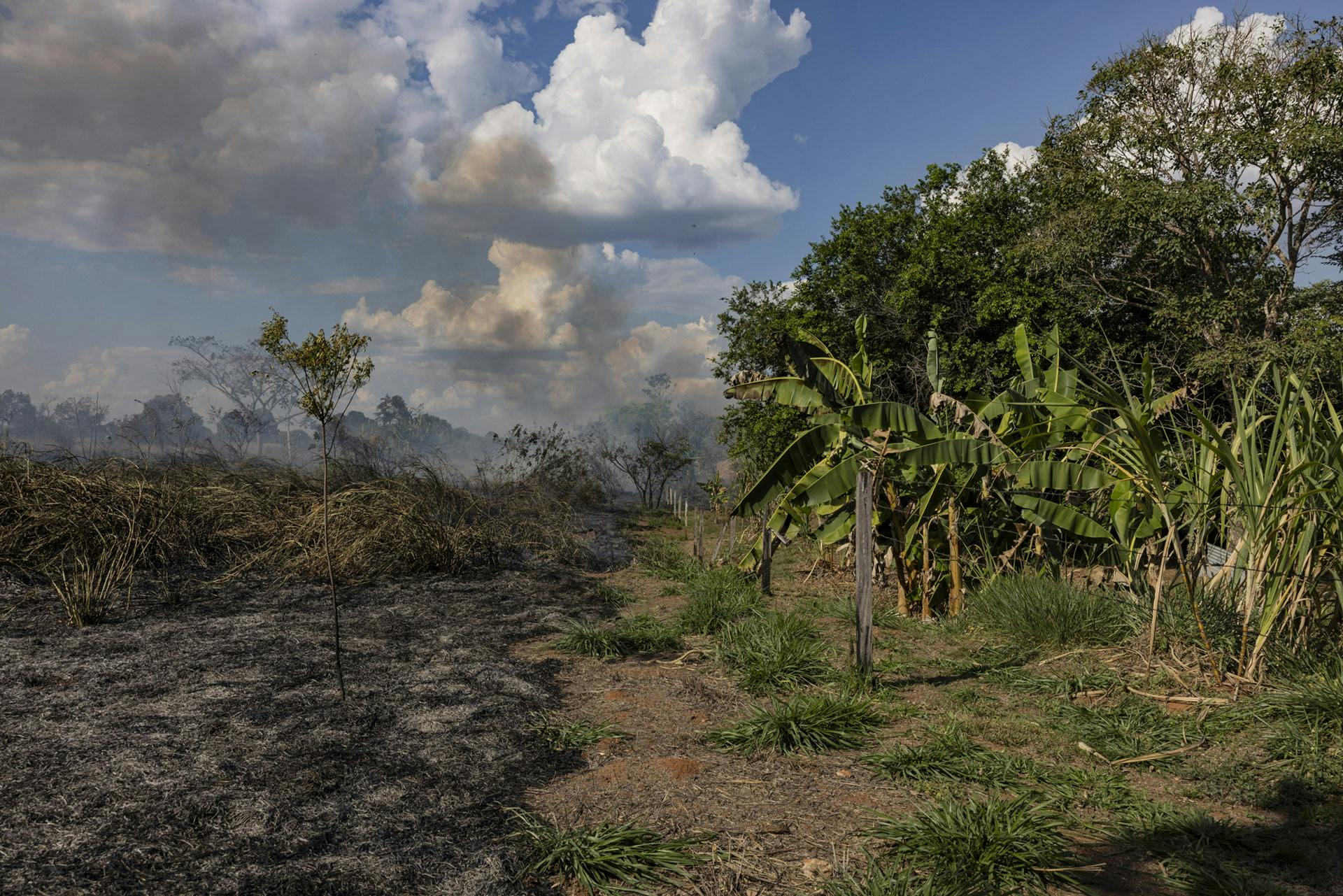 Turning Indigenous Territories From ‘Sacrifice’ Zones to Thriving Forest Ecosystems