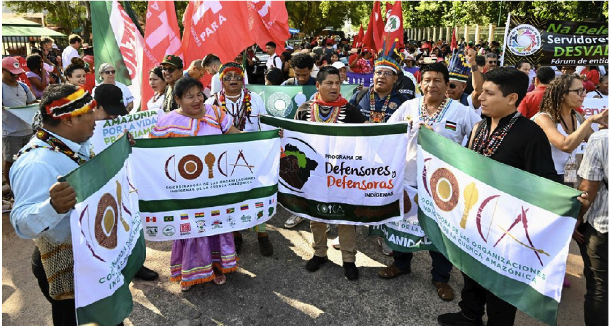 Indigenous people from Amazon Countries - March of the People of the Earth