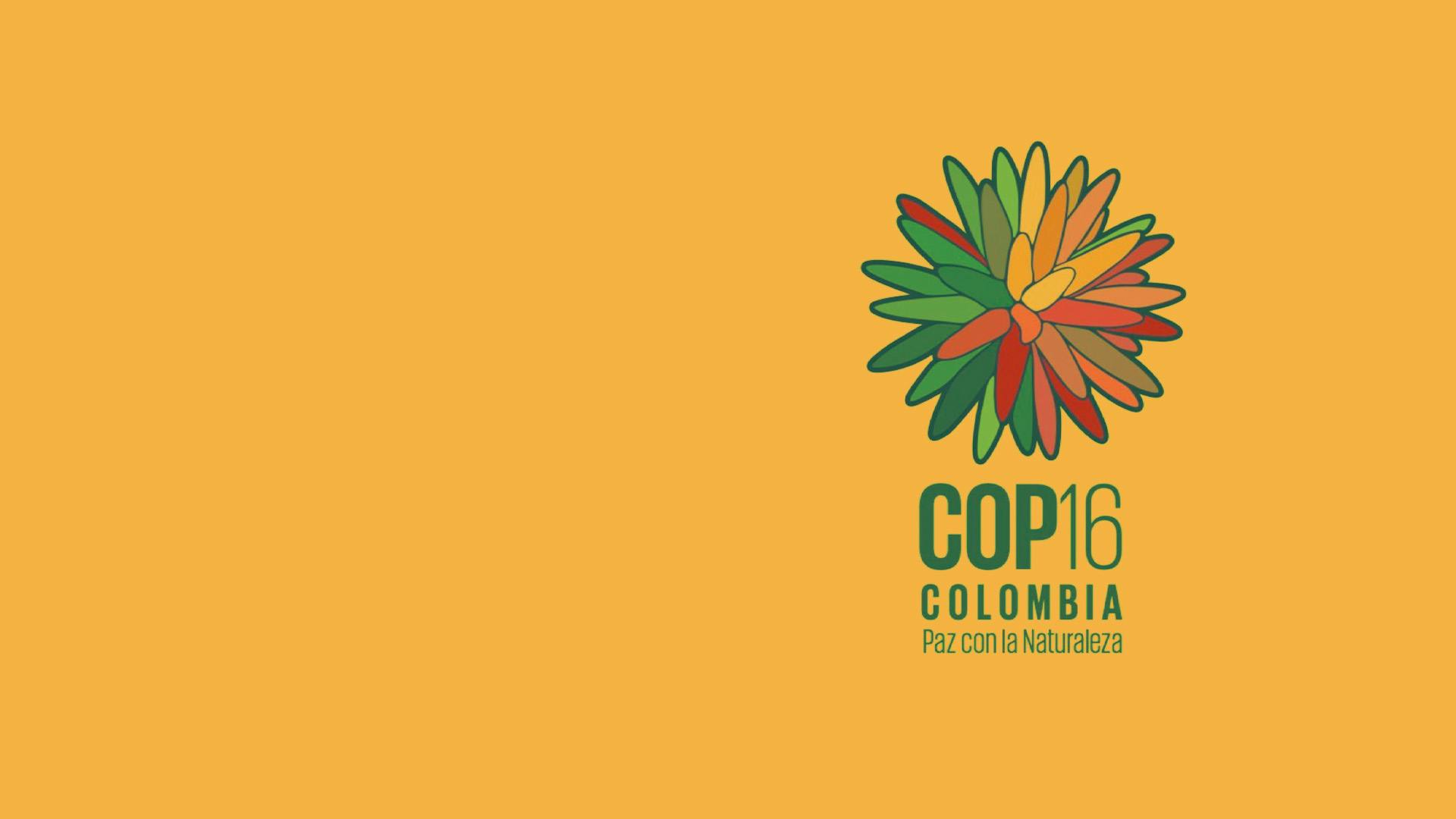 Multiple events hosted by Earth Insight at Cop 16