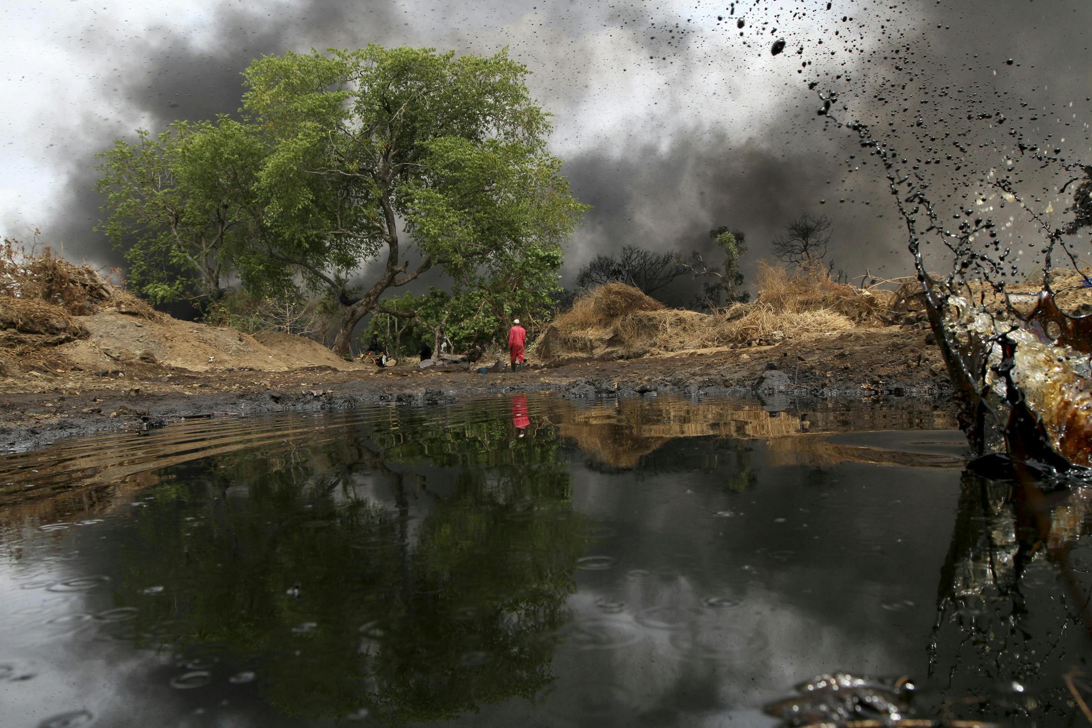 Congo's forests are in the crosshairs of oil and gas