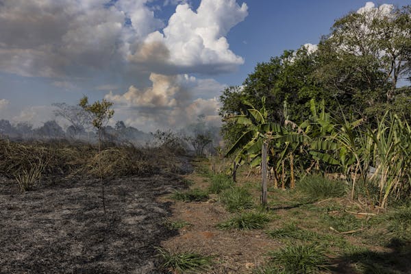 Indigenous Peoples and Local Communities Leaders from Around the World Present Proven Conservation Solutions Amid Mounting Industrial Pressures on Tropical Forests