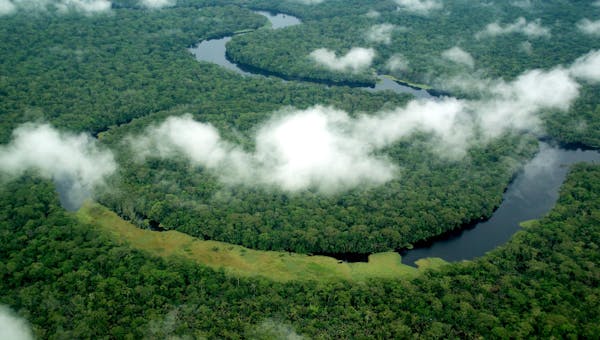 Forests to Frontlines: Oil Expansion Threats in the DRC