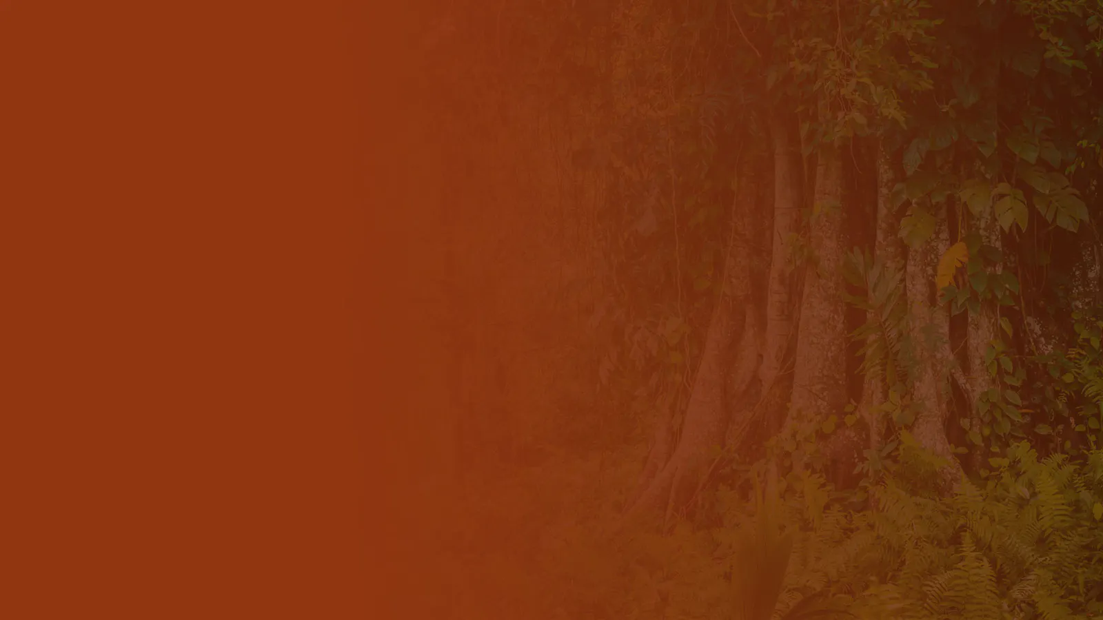 What are Fossil Free Zones?