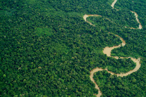 Vanishing Footprints: The Race to Protect Isolated Indigenous Peoples in the Amazon’s Yavari-Tapiche Corridor
