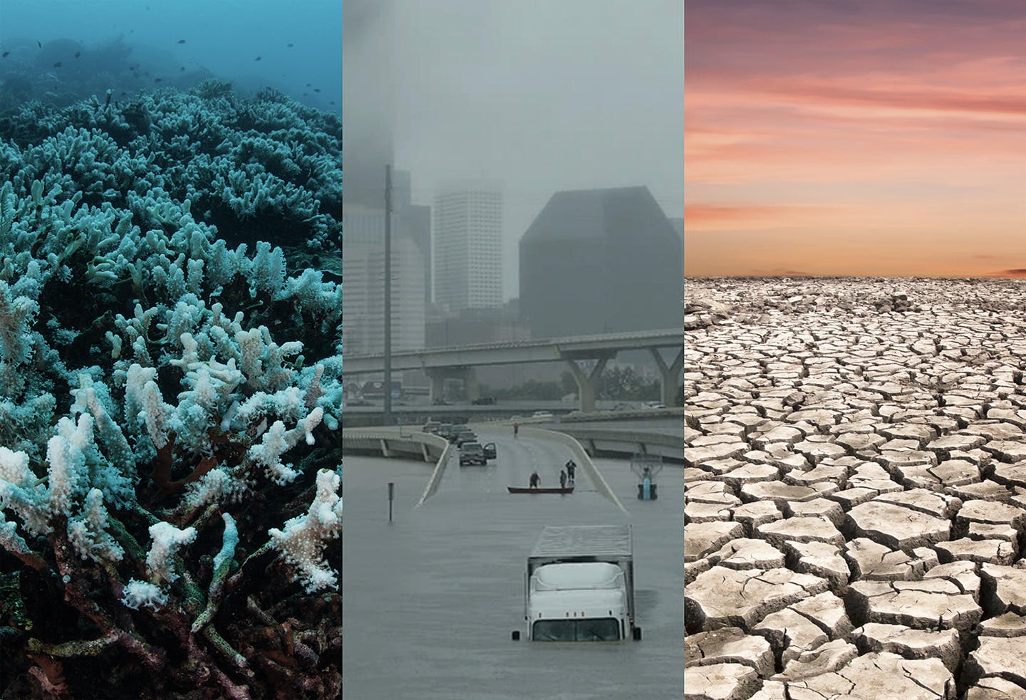 One Earth Climate Model One Earth Climate Model