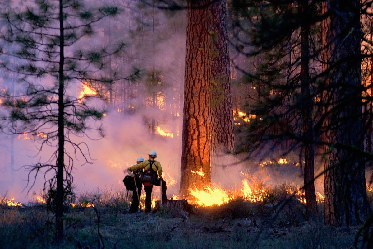 Support wildland firefighters: End the war on wildfire