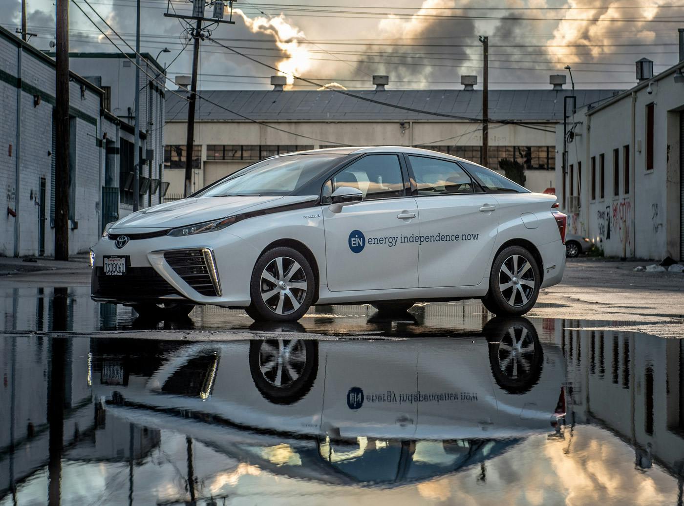 auto format c++ dev DiCaprio News The  Foundation  Leonardo