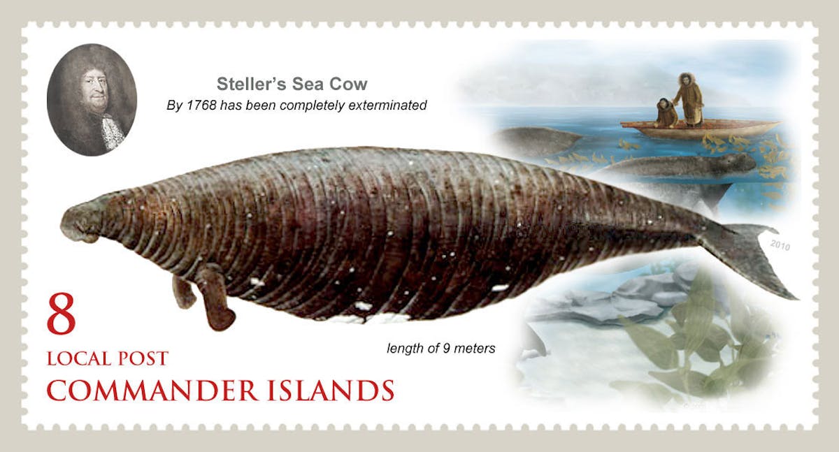 Never Forget The Steller S Sea Cow The Leonardo Dicaprio Foundation