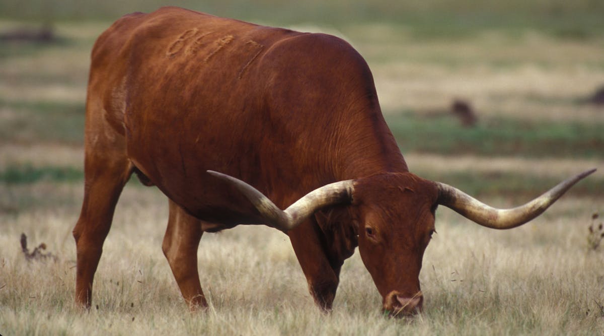Experts agree factory farms are putting climate at risk