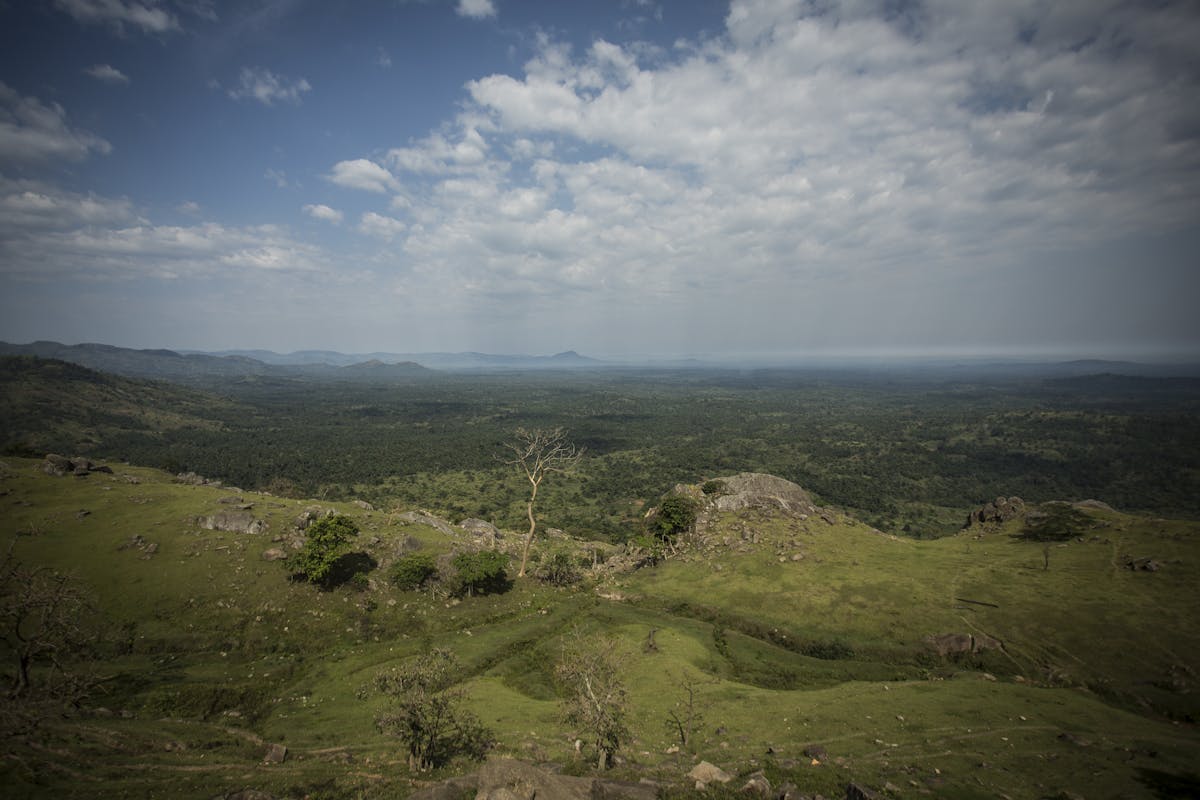 Leveraging Technology And Innovation For Conservation In The Congo Basin The Leonardo Dicaprio Foundation