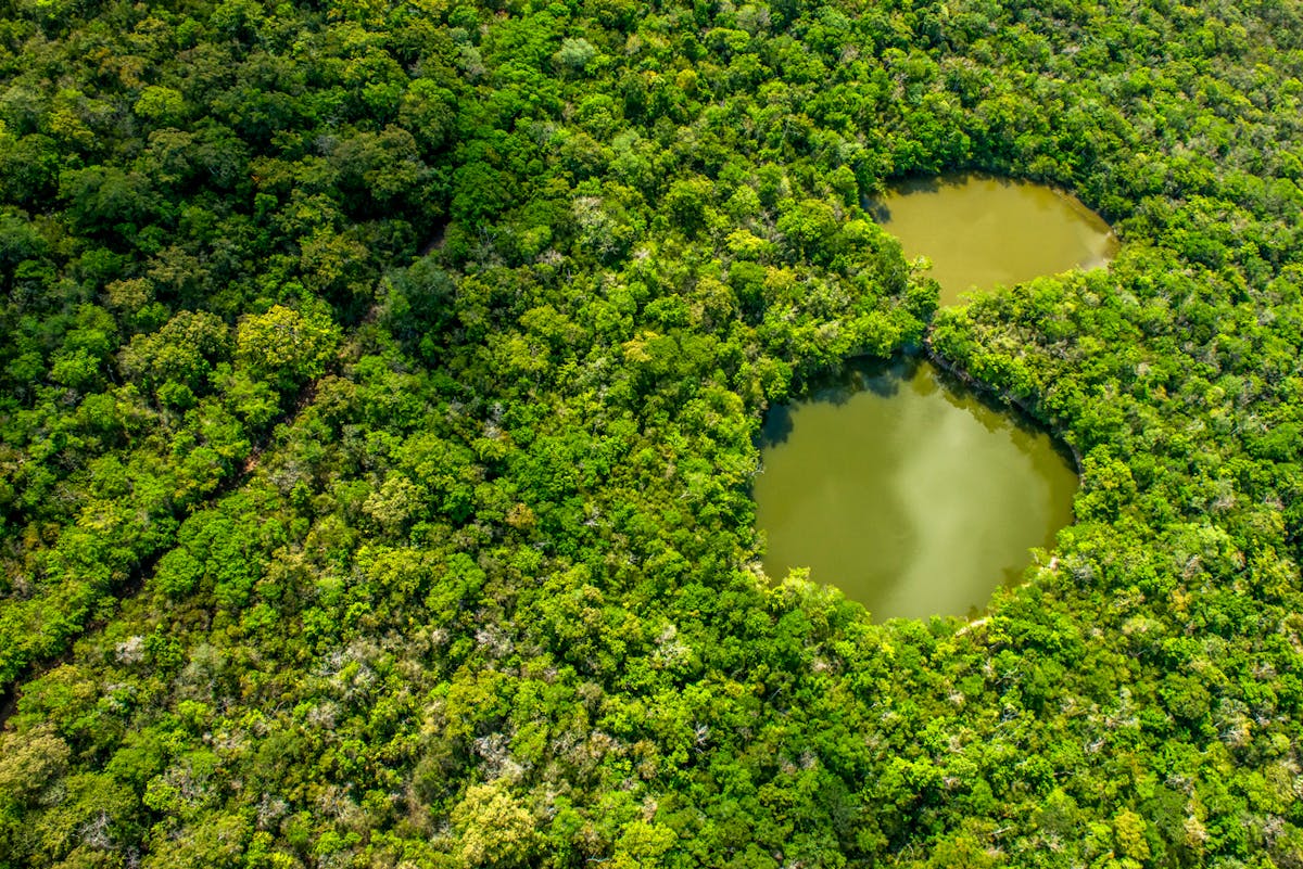 Stronghold for community forest conservation is under threat in Guatemala