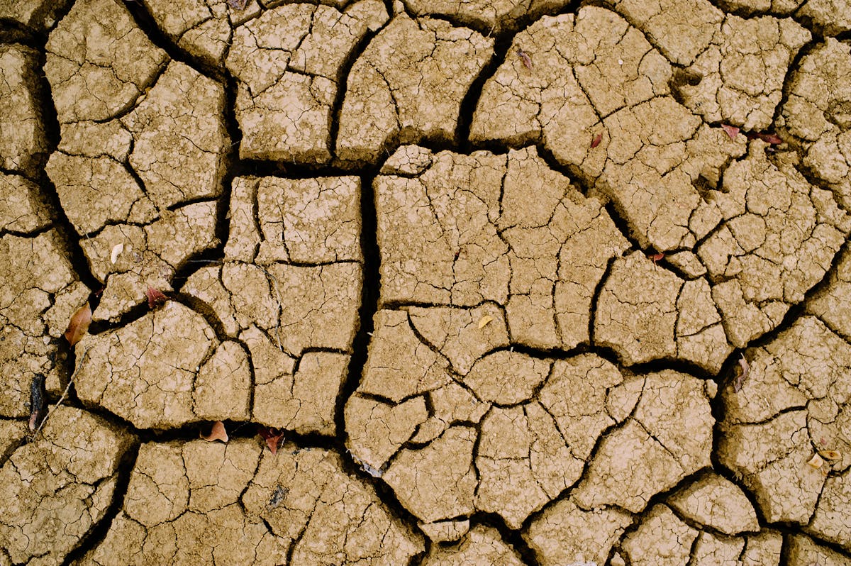 Global heat waves and their link to climate change