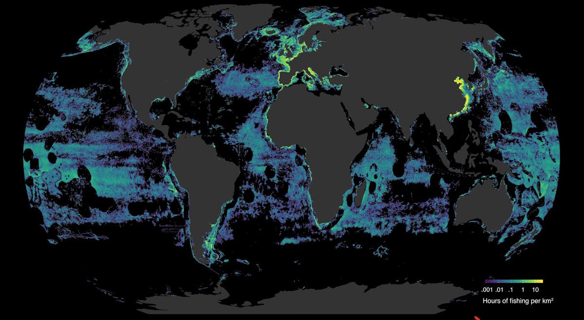 View from space reveals extent of fishing on global ocean
