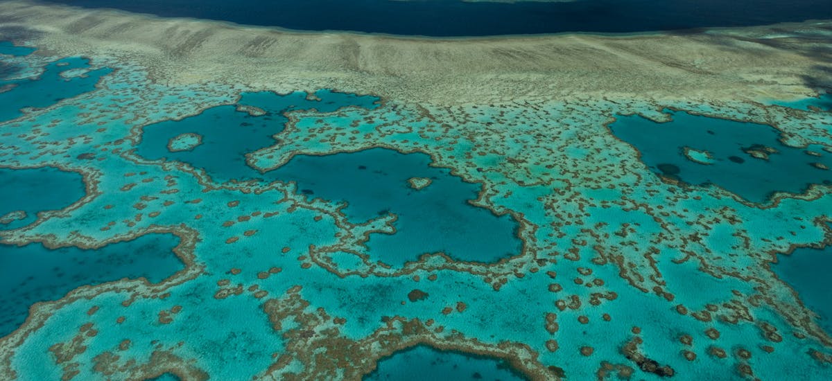 Scientists fear for the Great Barrier Reef’s future