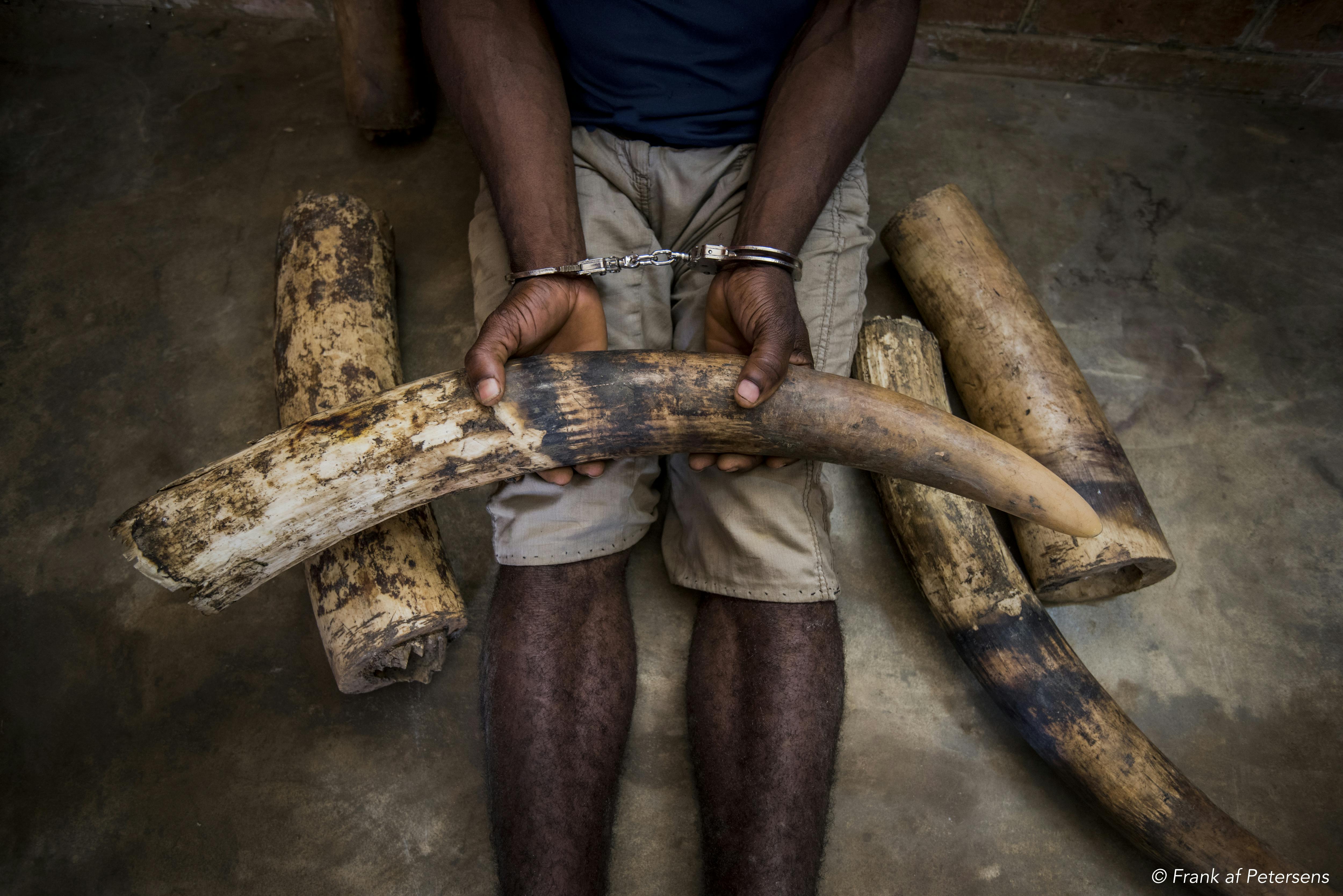 U.S arrests leaders of major drug and ivory smuggling network in Africa