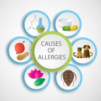 Allergy Causes Diagram