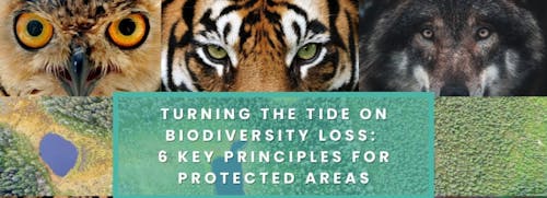 Priorities for Protected Areas Expansion paper published