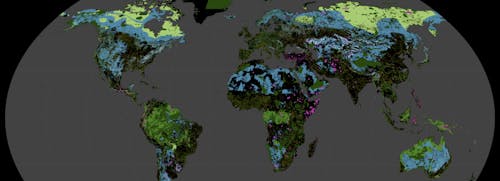 A Global Safety Net (GSN) paper published