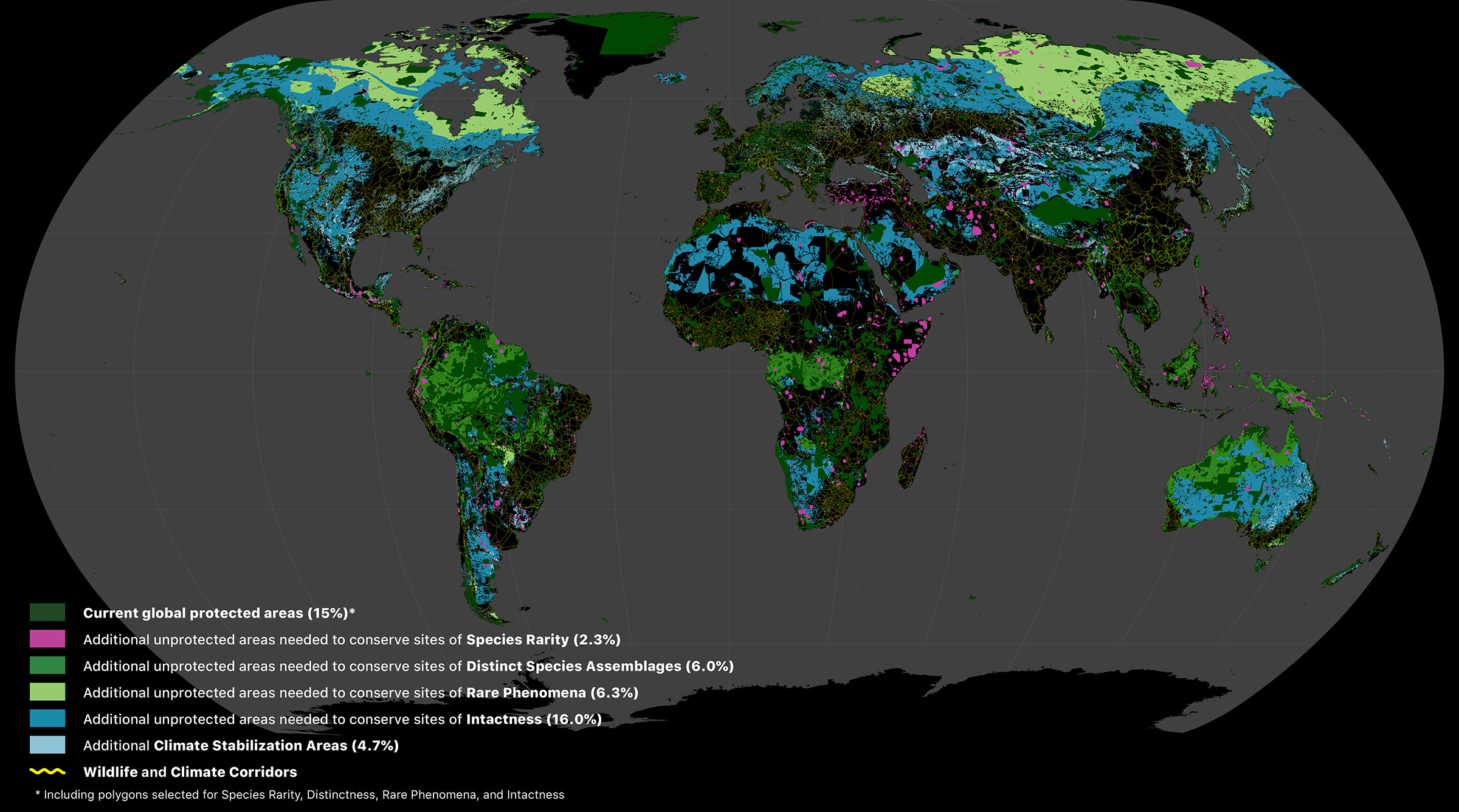 Areas of the terrestrial realm where increased conservation action is needed to protect biodiversity and store carbon