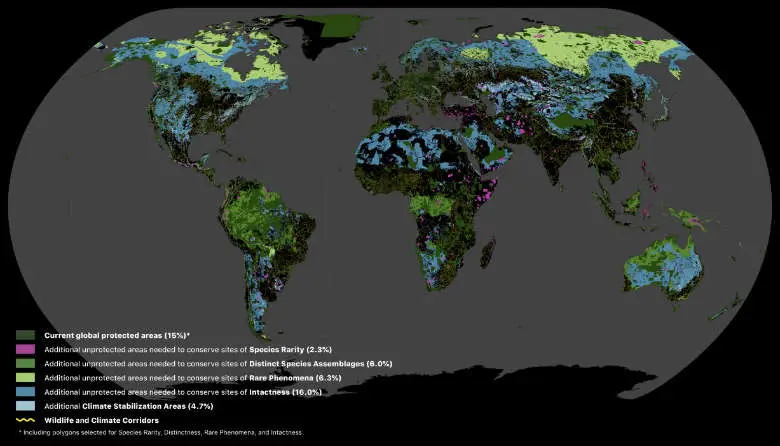 Areas of the terrestrial realm where increased conservation action is needed to protect biodiversity and store carbon