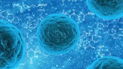 Bio-informational therapies in supportive treatment of malignant tumors