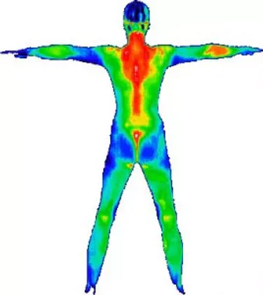 DITI Saves Lives… What is Digital Infrared Thermal Imaging?
